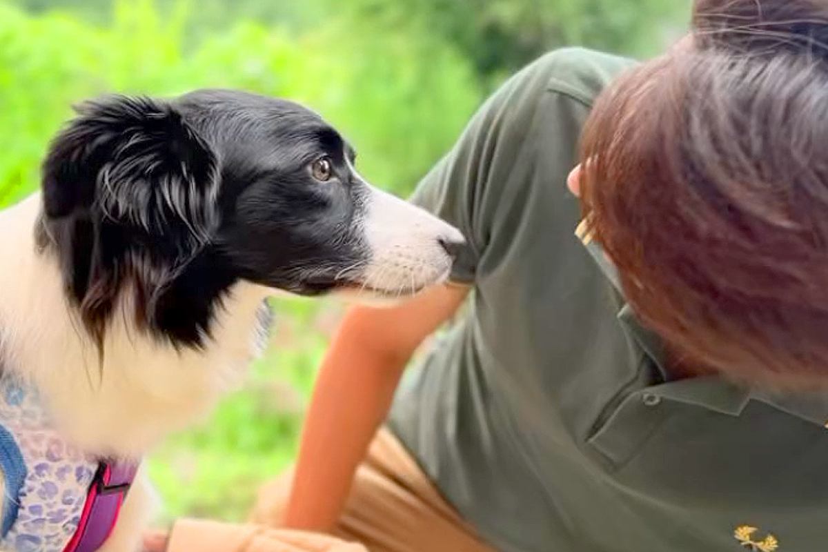 実家を出る息子に『犬を迎えて』と助言されたママ→一緒に暮らし始めた結果…帰省中の『幸せいっぱいな光景』に涙「泣いた」「優しすぎる」
