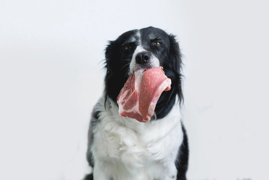 犬に『生』で与えてはいけない食材７選