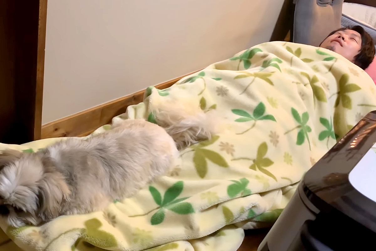 なぜか自分の寝床ではなく『パパの毛布の上』で寝る犬→移動させたら…微笑ましい攻防戦と愛おしい結末に反響「可愛すぎ」「一緒に寝たいんだ」