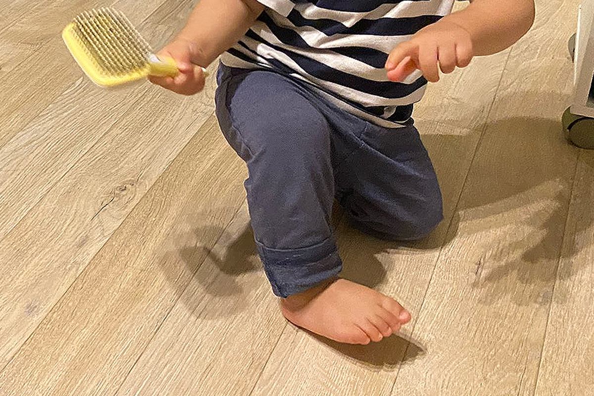 小さな男の子が『犬のブラッシング』をしようとしたので、ふと撮影してみると…まさかの『シュールすぎる光景』に2万いいね「やる気満々ｗｗ」