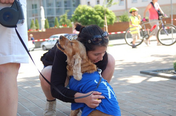 犬のペットシッターを利用した感想・評価。仕事内容と資格取得