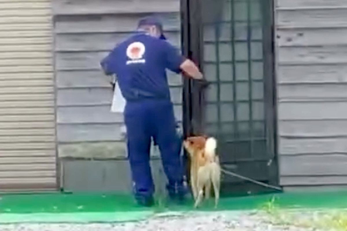 犬がいる家に『配達員のお兄さん』が来た結果→運び終わるのを待って…優しさ溢れる『幸せな光景』が64万再生「離れがたいね」「心がホッコリ」