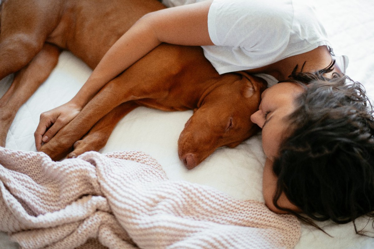 愛犬があなたに添い寝してくる本当の心理5つ