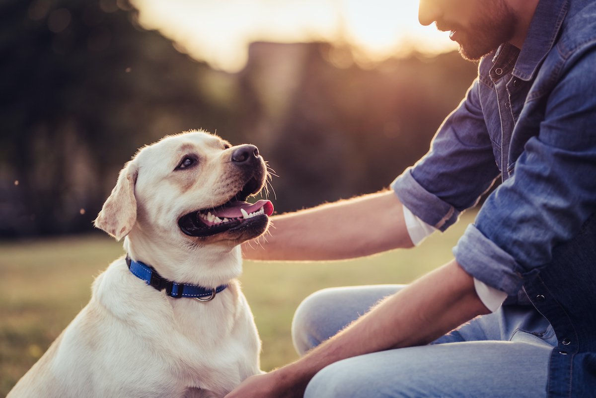 犬が亡くなる前にすべき『３つのこと』