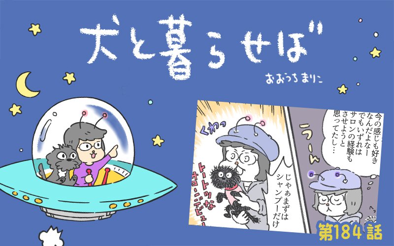 犬と暮らせば【第184話】「サロンデビュー」