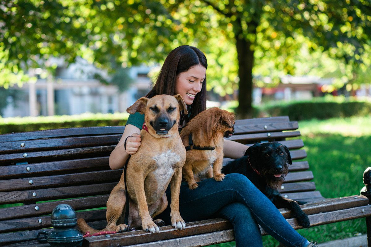 犬と公園に出かけたときの『絶対NG行為』3つ　飼い主が最低限守るべきエチケットまで