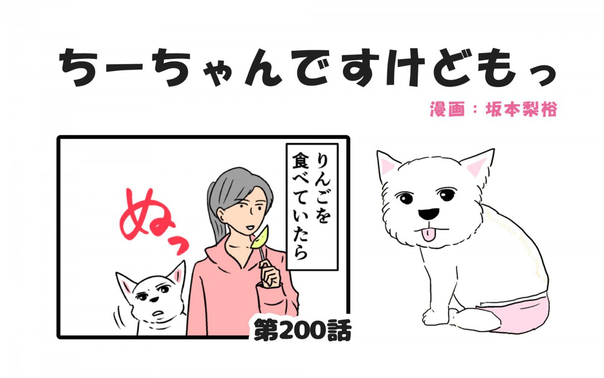 ちーちゃんですけどもっ【第200話】「都合の悪い事は聞かない」