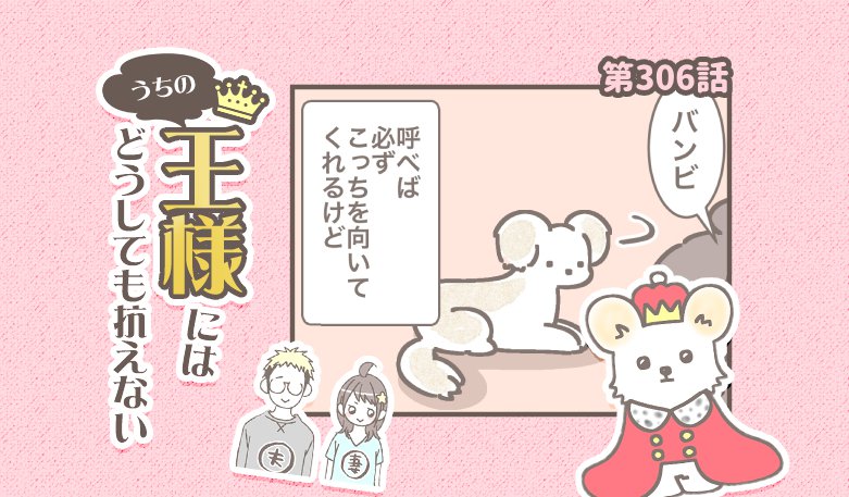 うちの王様にはどうしても抗えない【第306話】「キモいので」