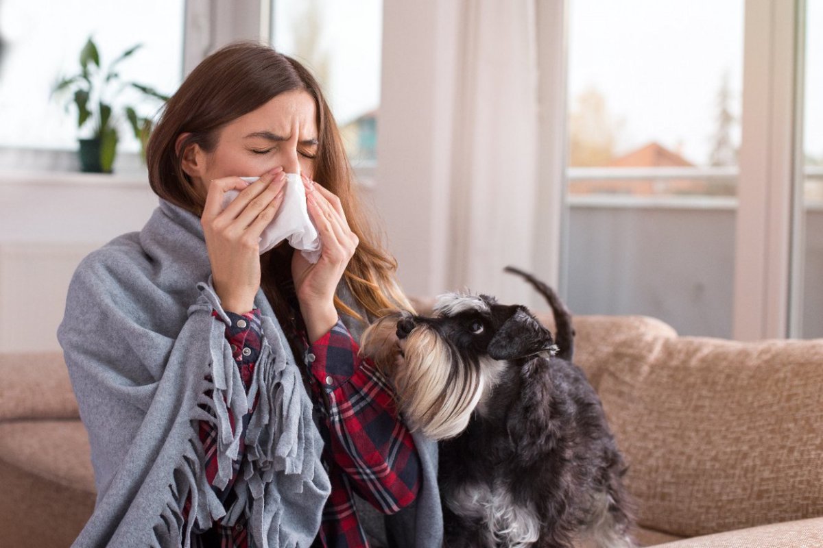 人間から犬や猫への病気の感染は想像以上に多いという調査結果