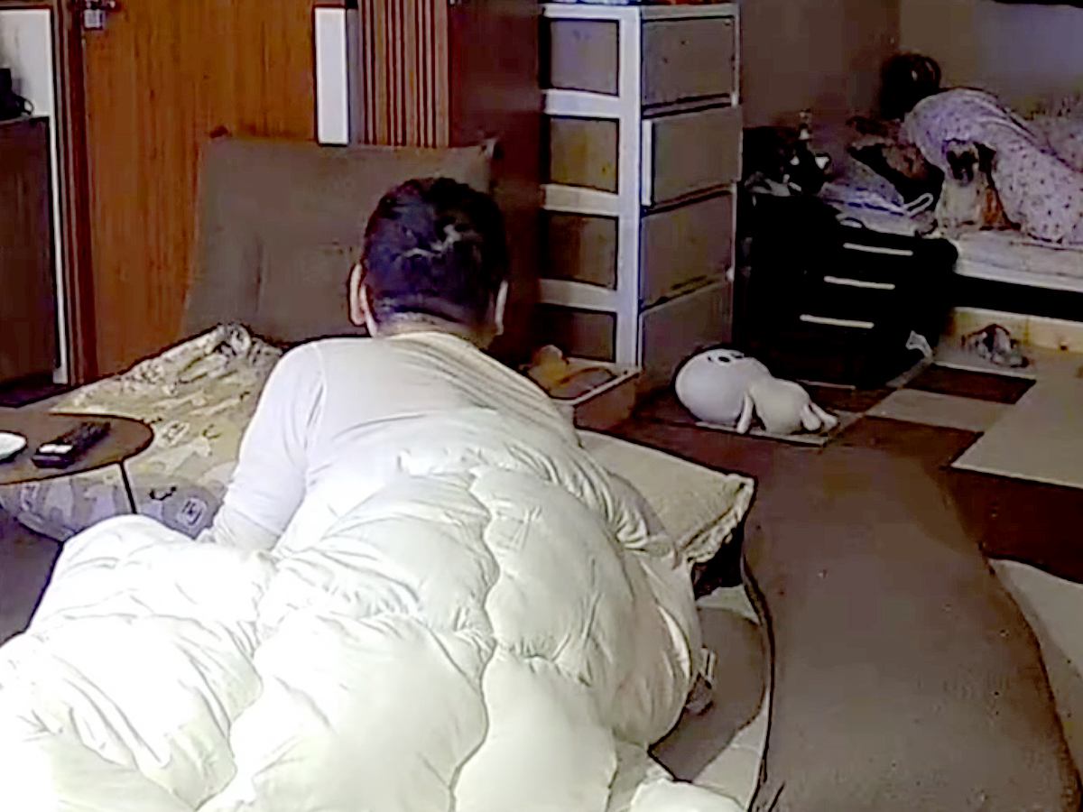 夜、悪夢にうなされるママ→犬とパパが飛び起きて…カメラに映った『コントのような光景』が35万再生「動きが一緒ｗｗ」「就寝中もおもろい」