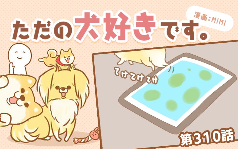 ただの犬好きです。【第310話】「義務」