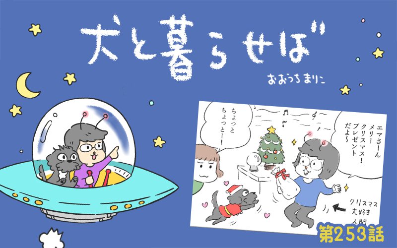 犬と暮らせば【第253話】「毎日がクリスマス」