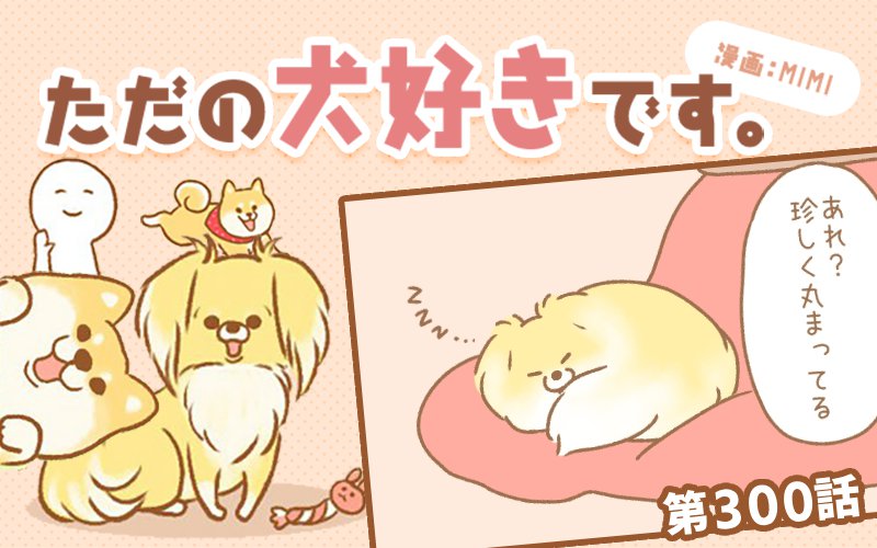 ただの犬好きです。【第300話】「寒い時は」