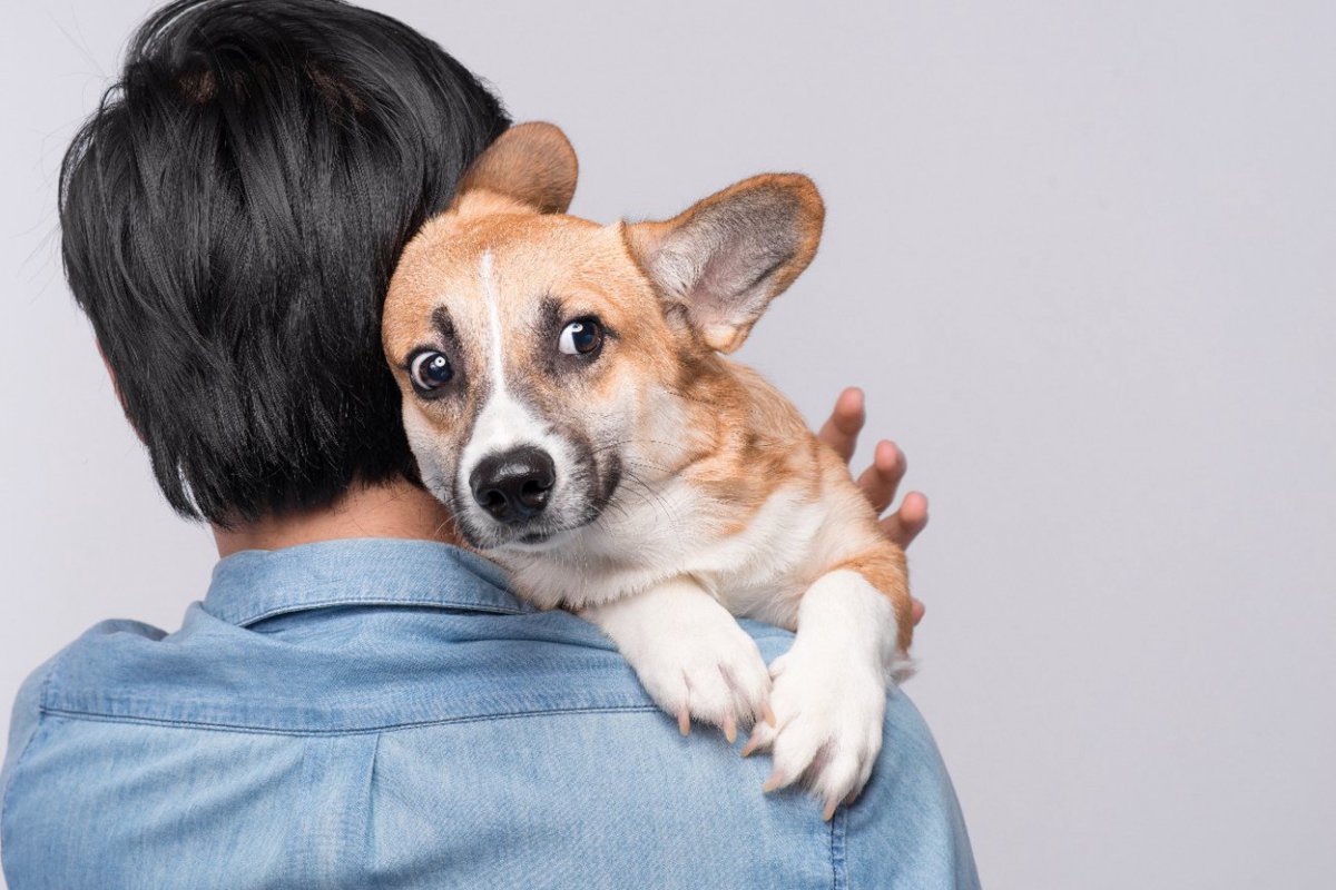 犬が『怯えてしまう』原因２つ　怖がっているときにする仕草や行動とは？