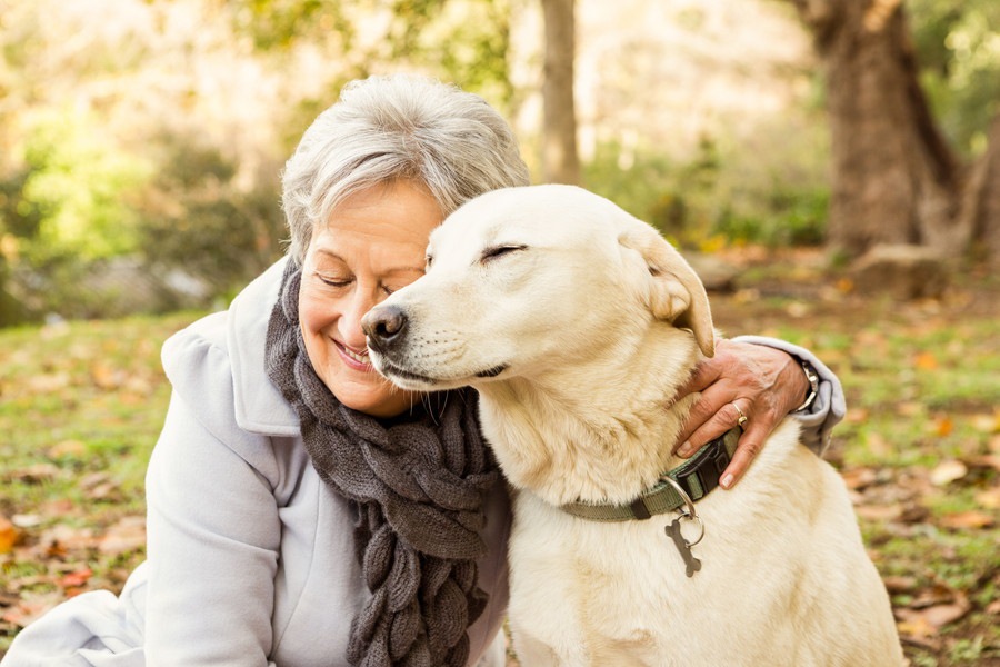 高齢犬との正しい接し方とは？絶対に無理はさせないで！