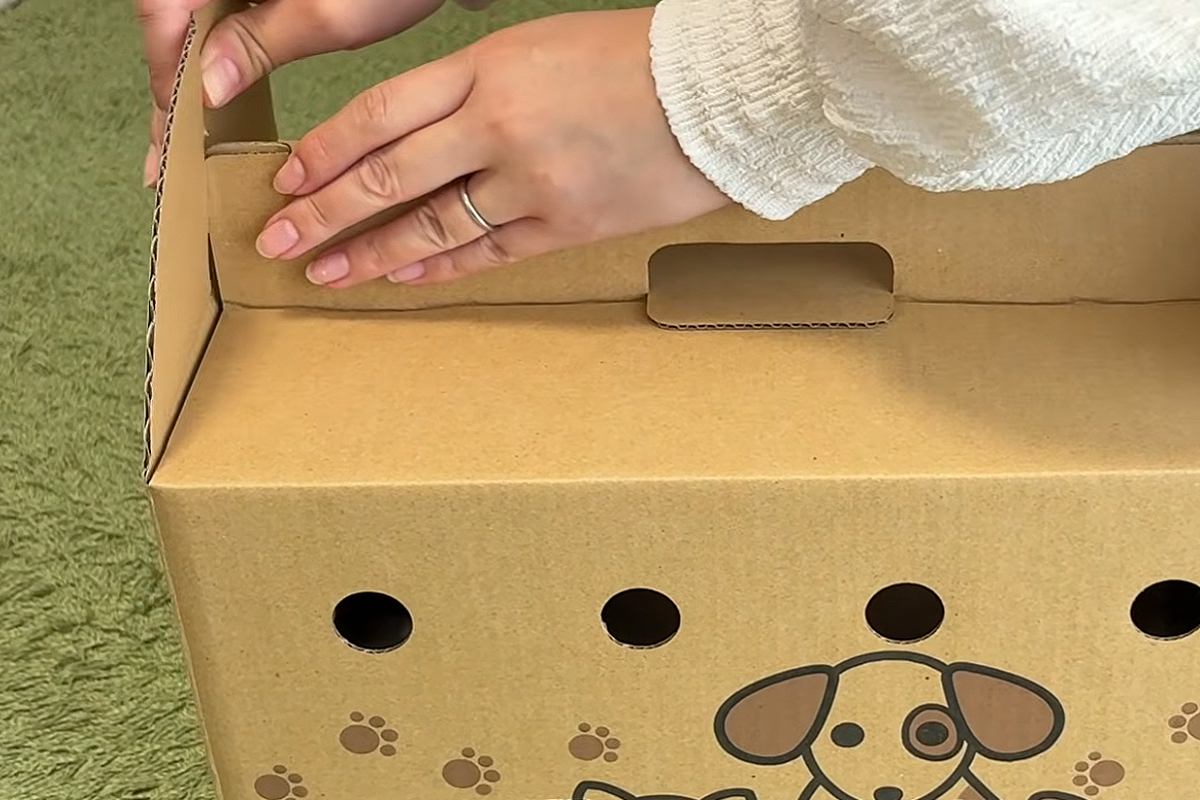 赤ちゃん犬を飼った初日→箱を開けると『手に納まるほどの小ささ』で…尊すぎる『1ヶ月の成長記録』に絶賛「可愛すぎ」「ニヤニヤが止まらん」