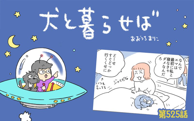 犬と暮らせば【第525話】「エマの寝かしつけ」