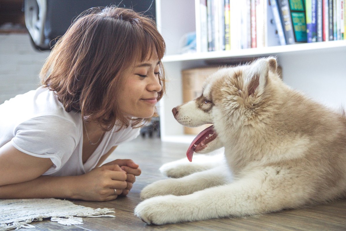 しっかり受け取ってますか？愛犬が送る５つの「I LOVE YOU!」