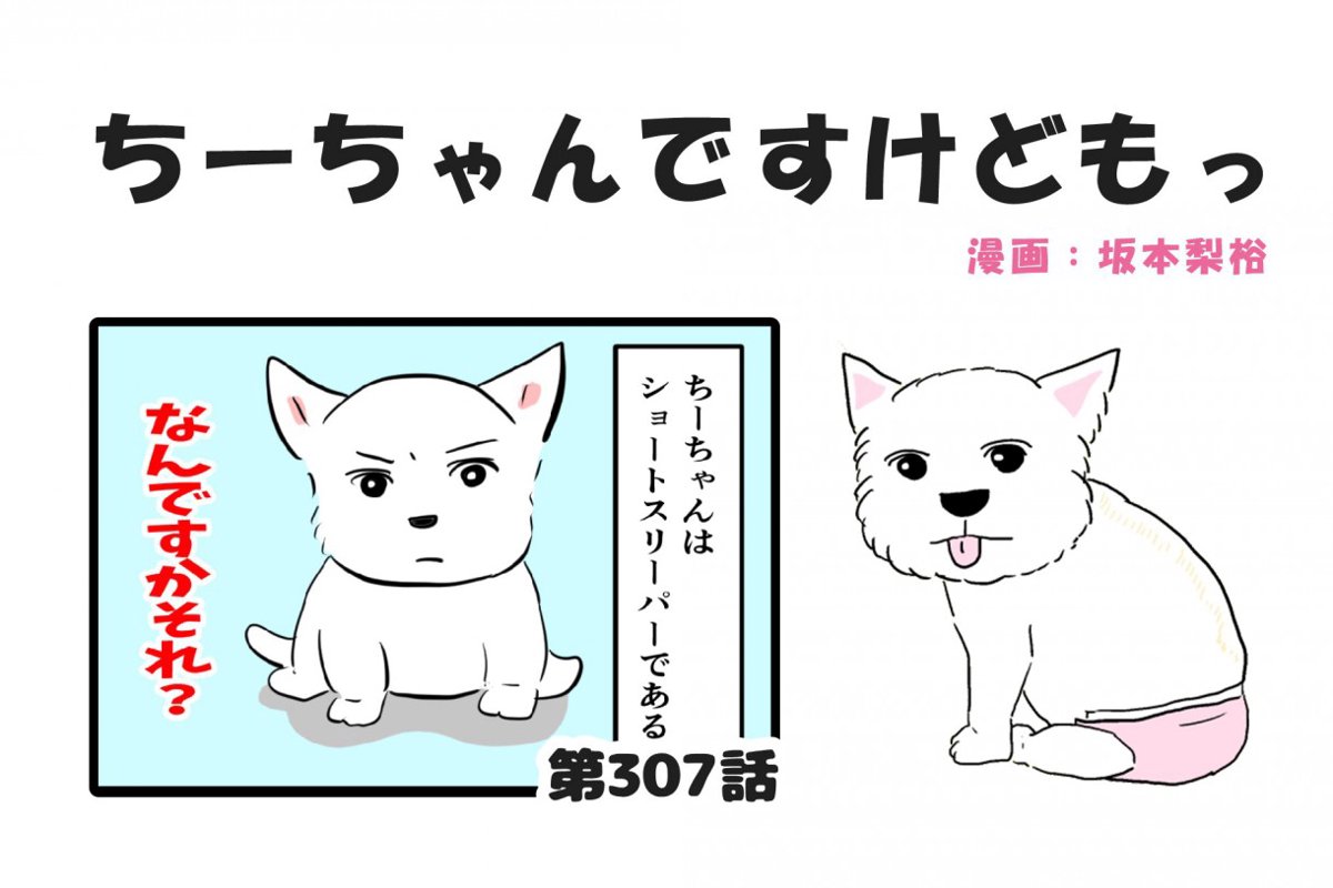ちーちゃんですけどもっ【第307話】「犬界のショートスリーパー」