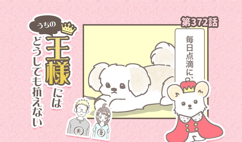 うちの王様にはどうしても抗えない【第372話】「バンビ闘病記④」
