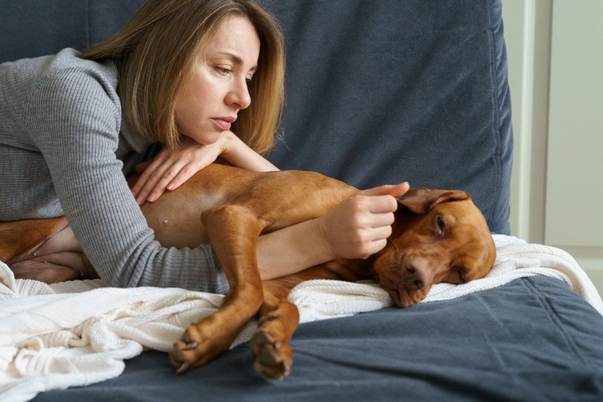 犬が『辛い』と感じている時の仕草や行動5選　飼い主にできることとは？