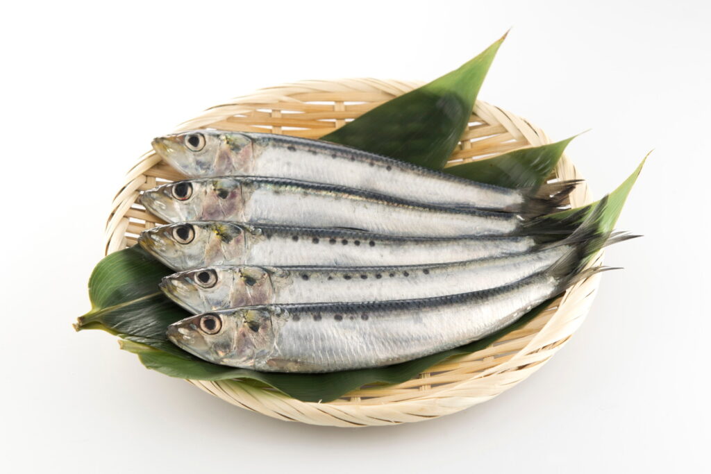 【獣医師監修】犬はいわし（鰯）を食べても大丈夫！小骨などの注意点や与える量の目安、手作りレシピまで解説