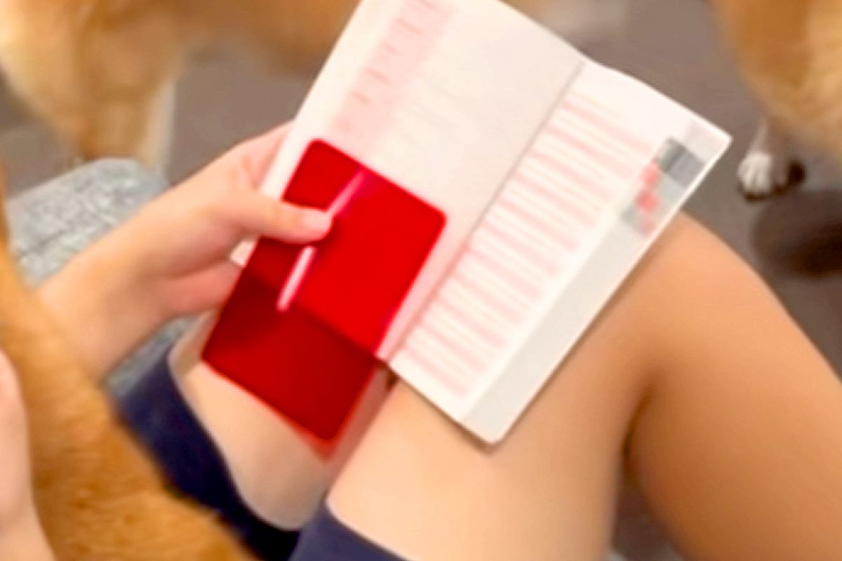 英検の試験を翌日に控えた女の子→犬たちが集まってきて…『絶対に集中できない光景』が12万再生「悟りの境地ｗｗ」「天国やん」「羨ましい」