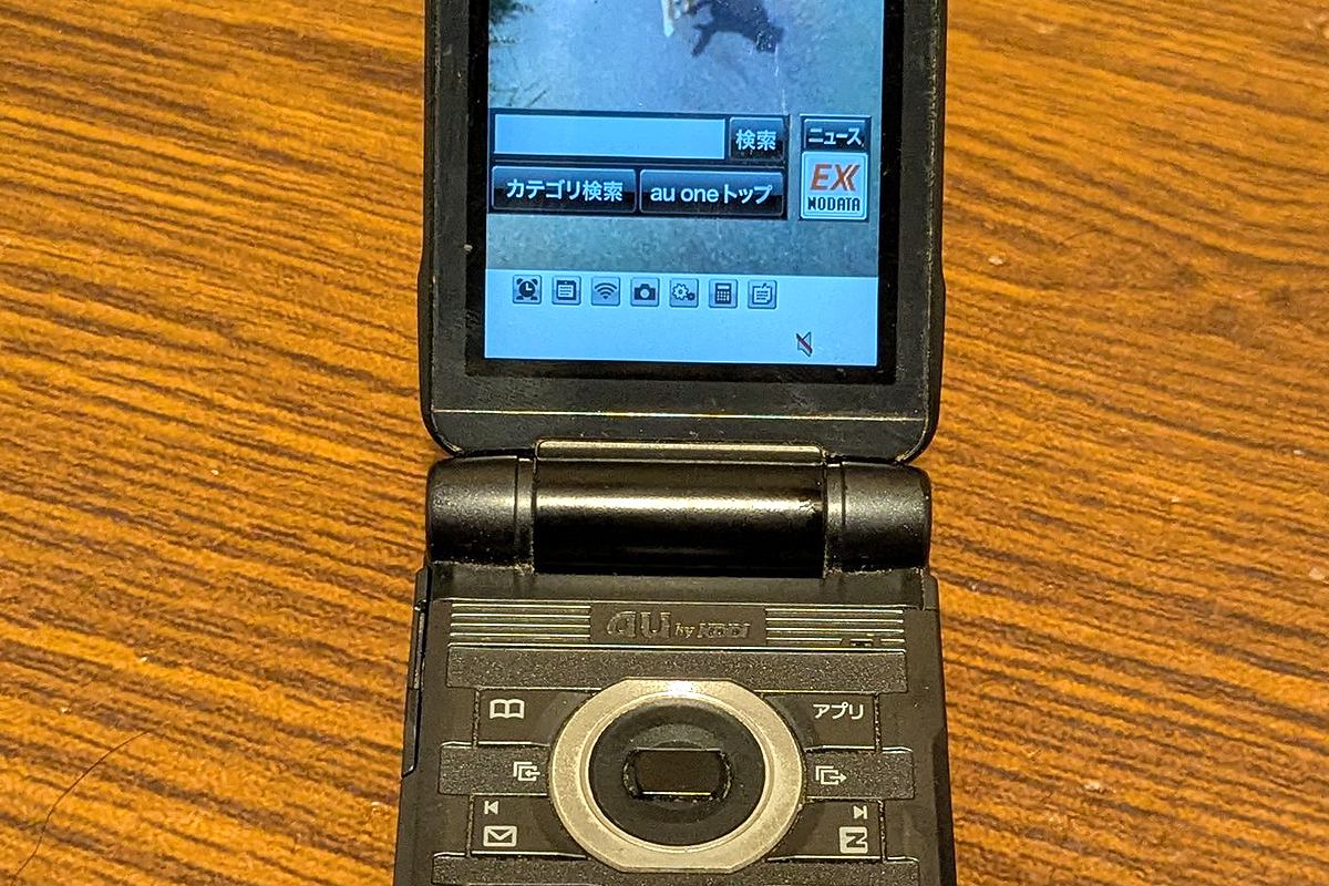 実家にあったガラケーを充電したら『亡くなった愛犬の写真』を見つけて…思わず涙腺がゆるむ光景が161万表示「ダメだ、泣けちゃう」「宝物」