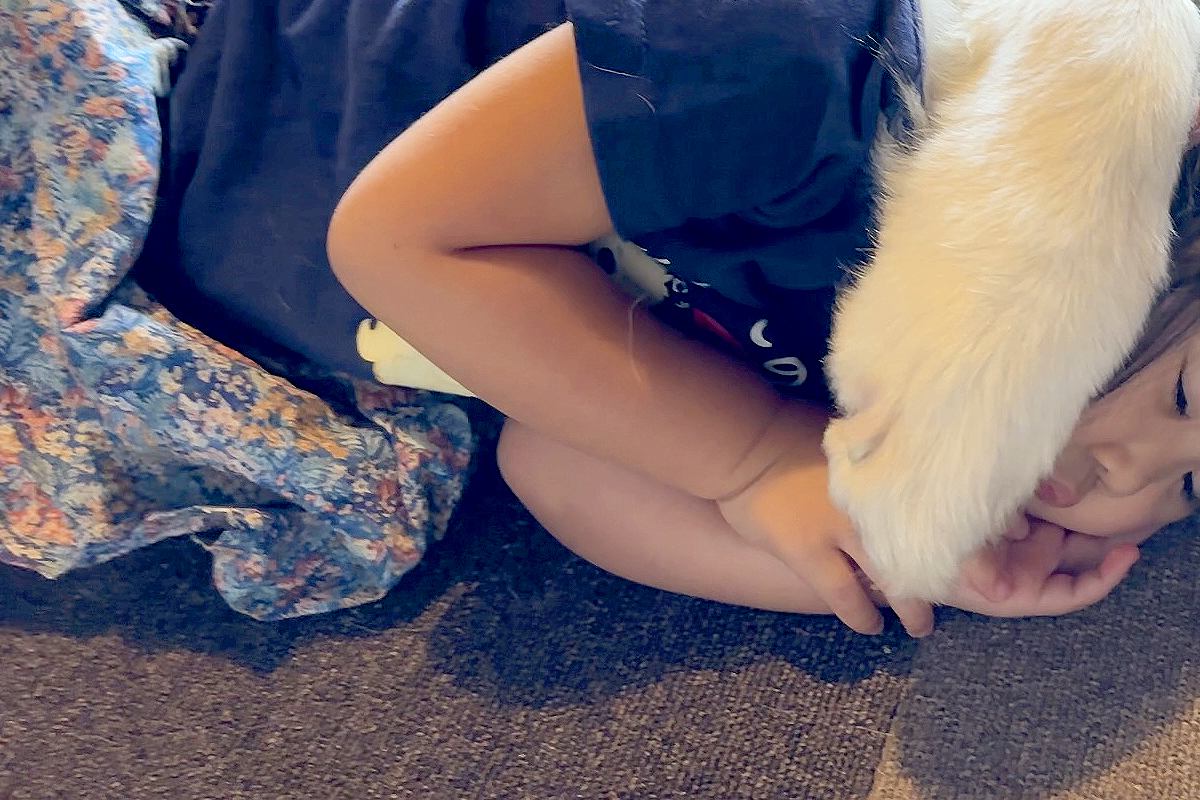 3歳の女の子と超大型犬が『一緒にお昼寝した』結果→とんでもなく愛おしい『寝かしつけの方法』に4万いいね「ホールドｗ」「愛が溢れてる」