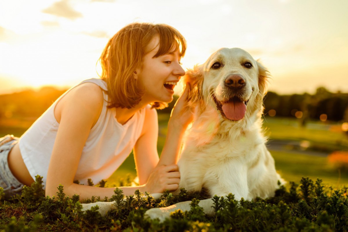 『もしも愛犬と喋れたら』飼い主が伝えたい5つの言葉