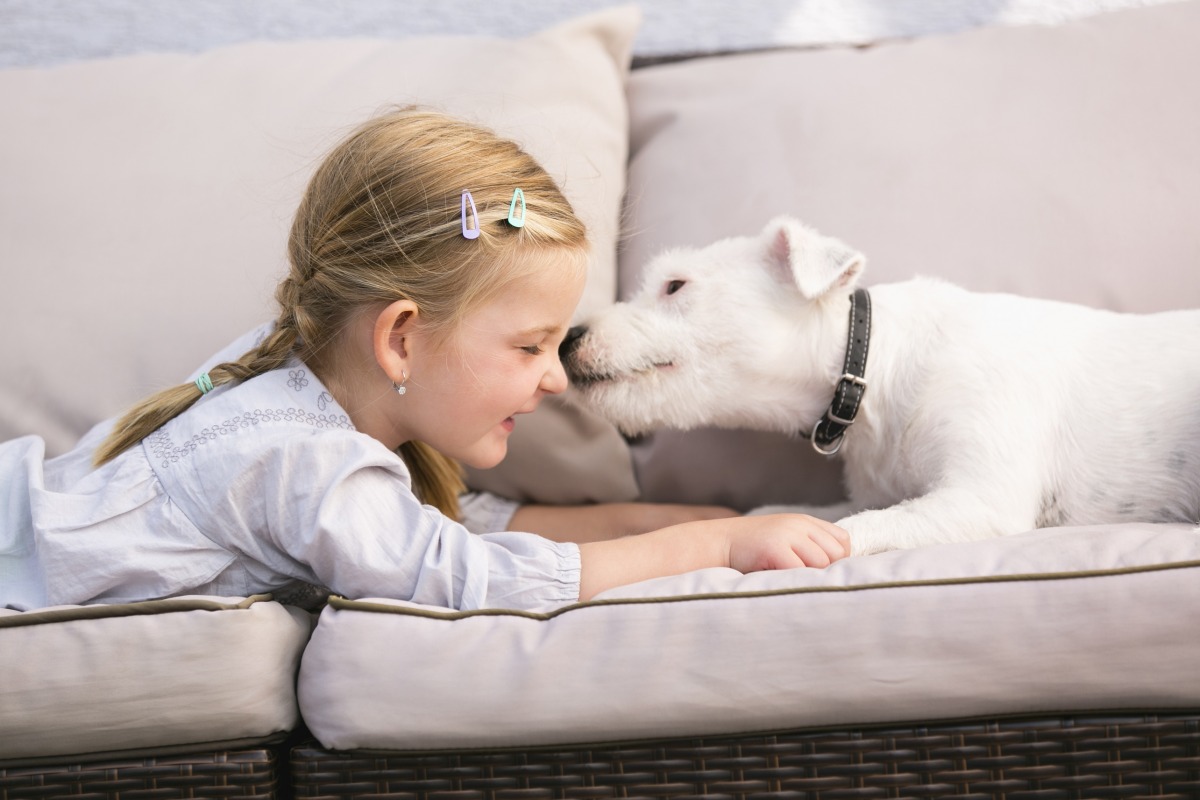 犬が飼い主のニオイを嗅ぎまくる理由