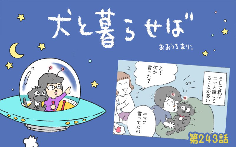 犬と暮らせば【第243話】「話し相手は…」