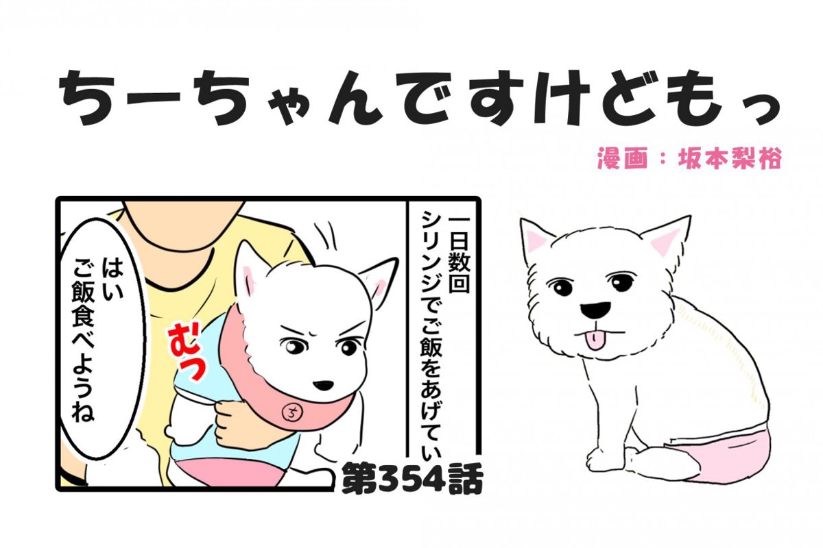 ちーちゃんですけどもっ【第354話】「毎回手こずる」