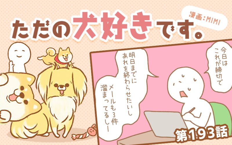 ただの犬好きです。【第193話】「息抜き」