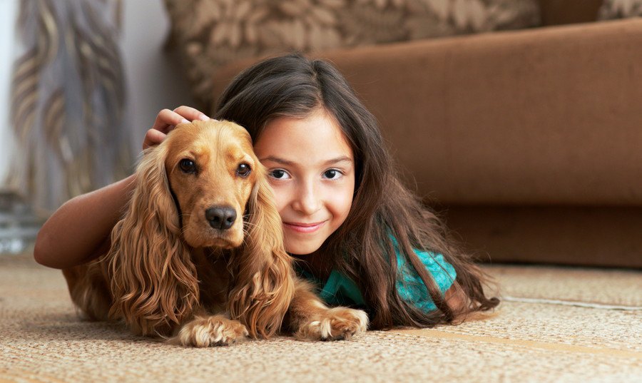 人気の犬種ランキング10種類！その性格と特徴、体重など