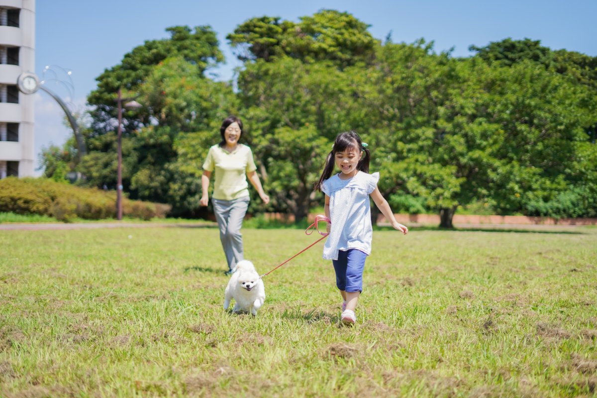 小型犬に必要な『一日の散歩量』とは？毎日行くべきなの？適切な頻度まで