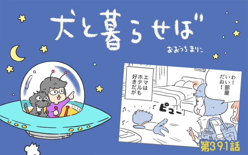 犬と暮らせば【第391話】「旅するエマさん」