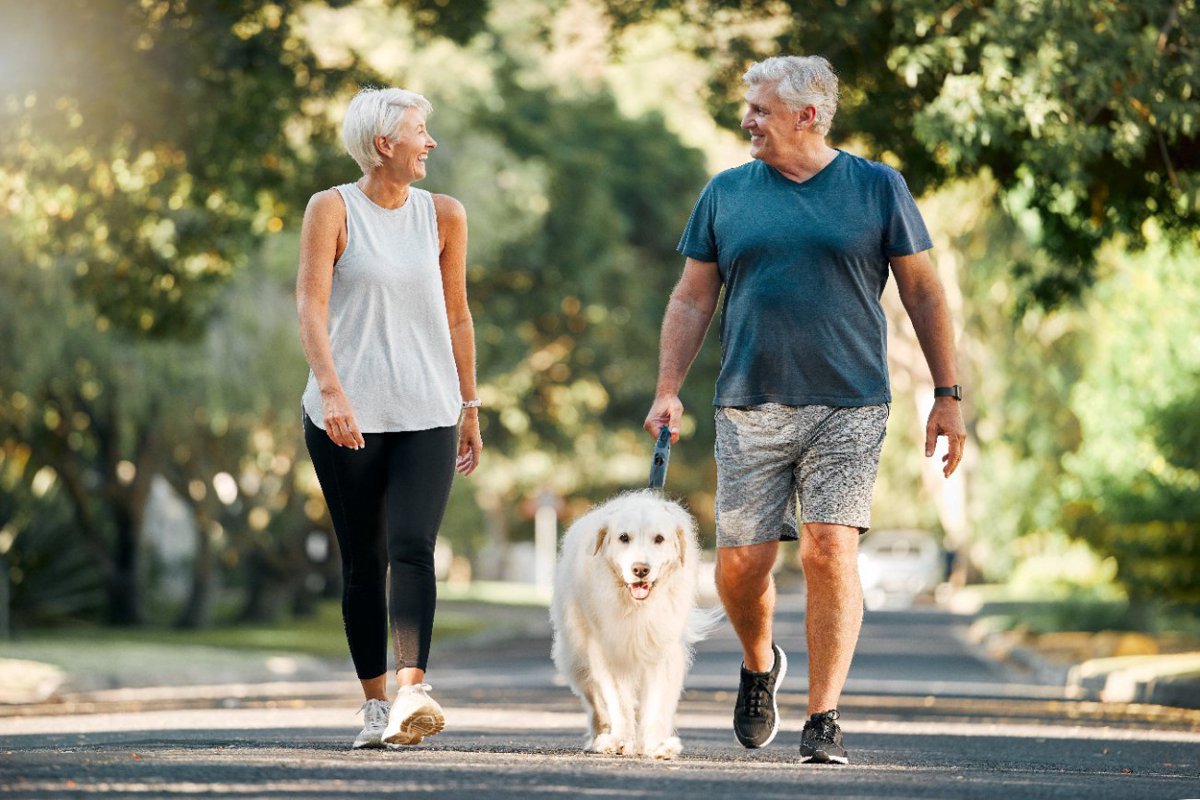 犬の平均寿命が延びている理由4選！40年で倍になっているワケとは？