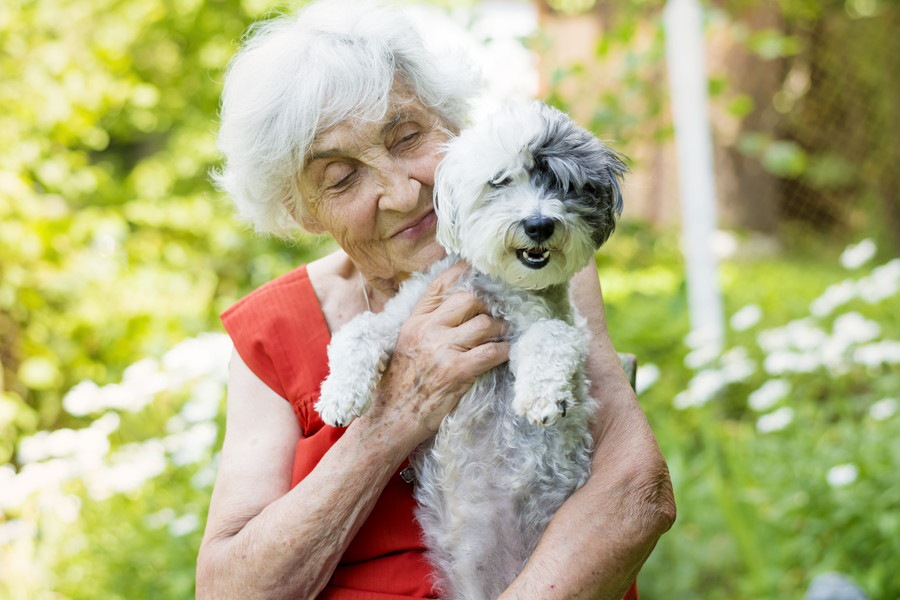 犬を飼っている人は10歳若い？！研究で分かったアンチエイジング効果とは？