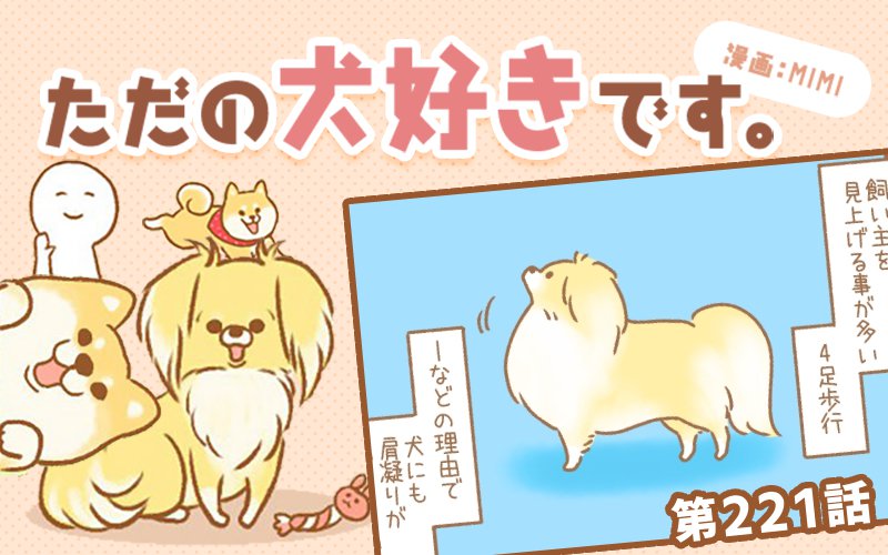 ただの犬好きです。【第221話】「肩こり」