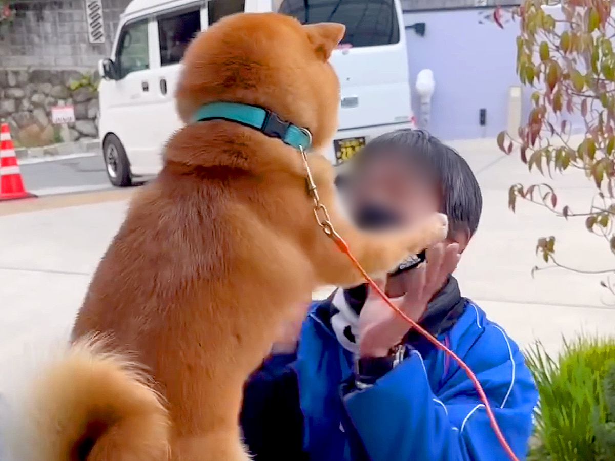 朝、佐川急便の配達員が家にきた結果→『大好き』が溢れてしまった犬が…あまりにも尊い光景が152万再生「可愛すぎ」「前世恋人？」現在の姿も