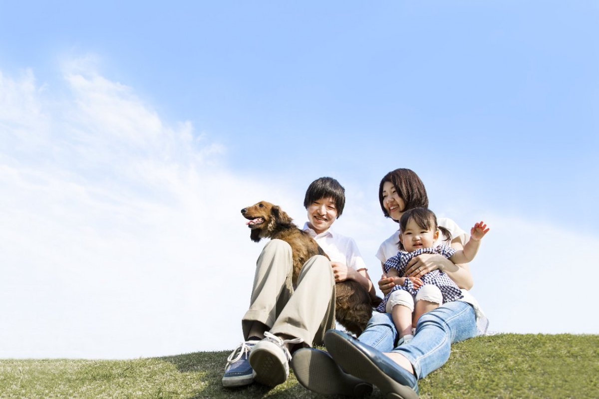 『飼うのが難しいと言われている犬種』3選！飼う前に知っておきたい特性とは