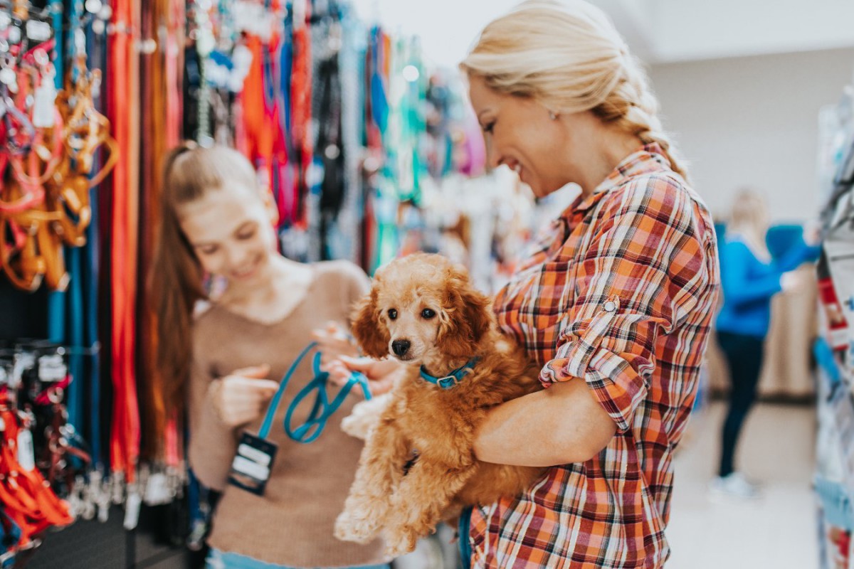 買ってはいけない「犬用品」5選！愛犬に合わないモノを与えると逆に危険かも