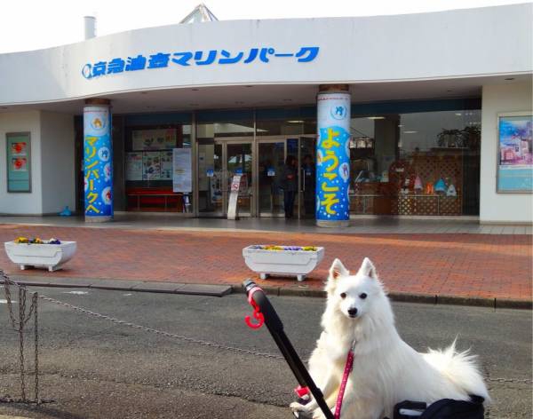 油壺マリンパーク 愛犬と一緒に楽しめる水族館