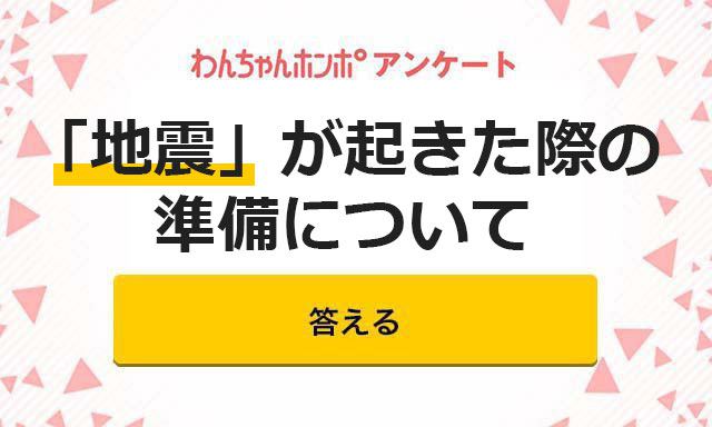 【アンケート実施中！】地震が起きた際の準備について