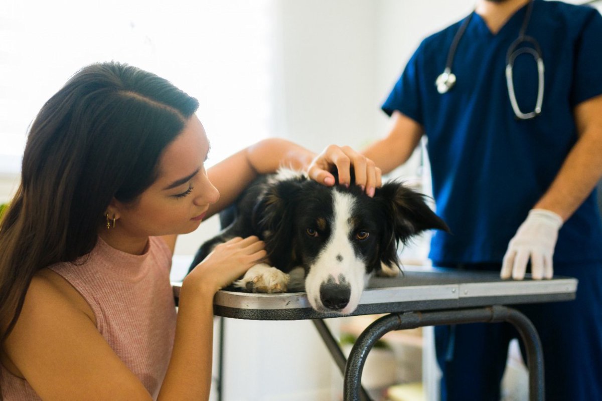 犬がほぼ確実に亡くなってしまう『病気』3選　致死率100%？日頃からできる予防法はあるの？