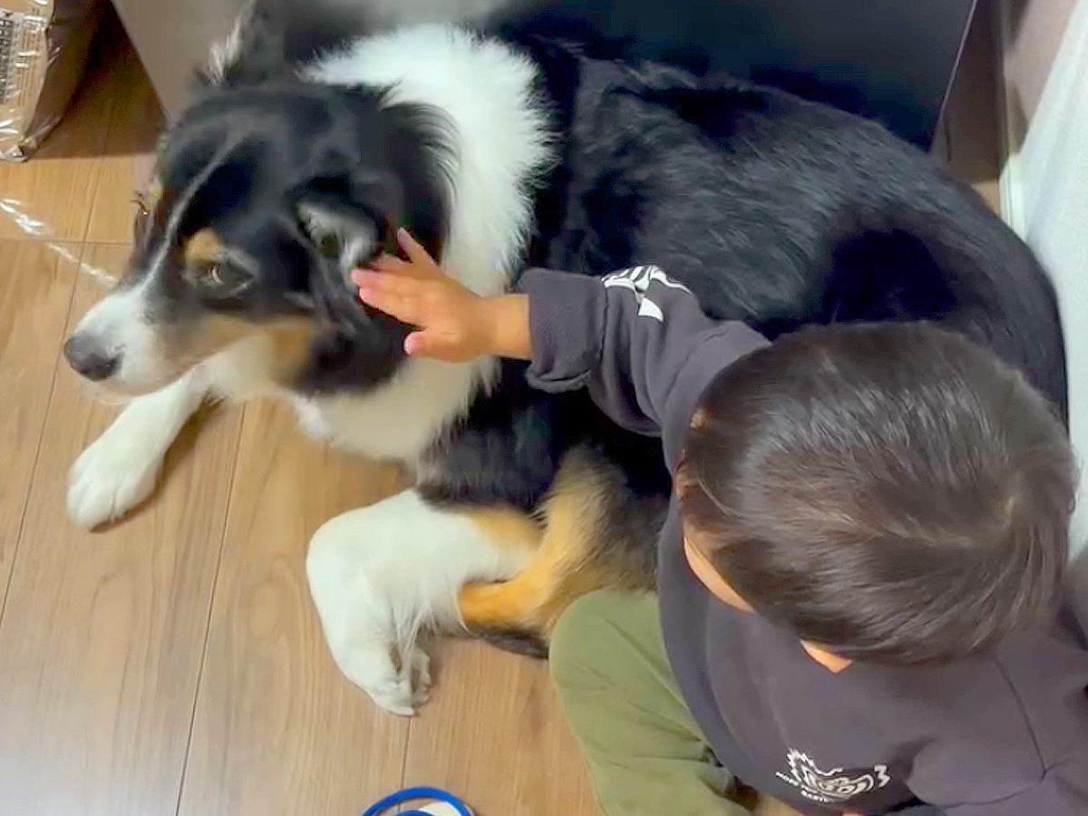 仲良しな男の子と犬→2年前を振り返ると、気持ちは一方通行で…泣けるほど尊い『愛を育んできた軌跡』に感動「目がとろけてる」「幸せそう」