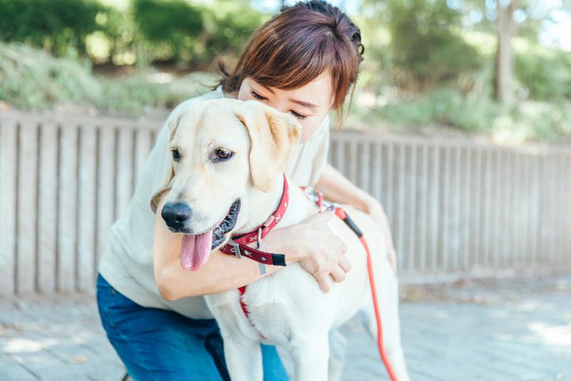 飼い主は『犬の顔の臭い』に感情的？トリマーが知っておくべき『お客さんの意識』と実践したい『洗顔スキル』