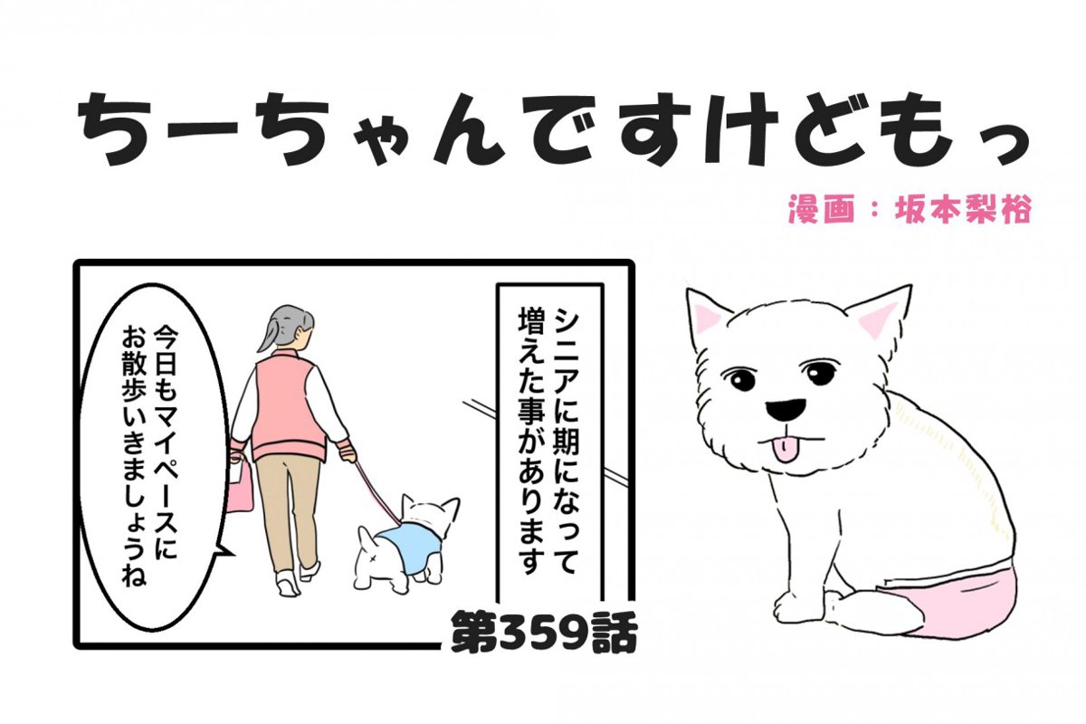 ちーちゃんですけどもっ【第359話】「お散歩中の会話」