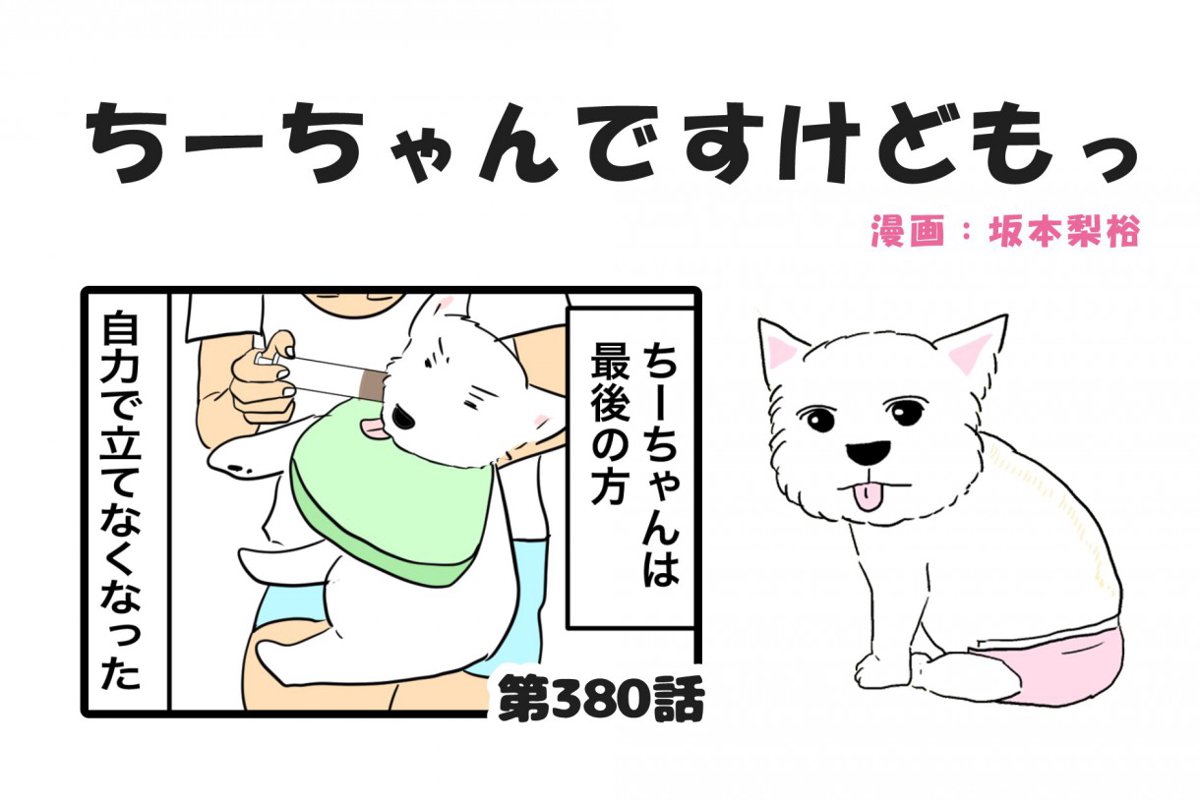 ちーちゃんですけどもっ【第380話】「シニア犬の液体化」